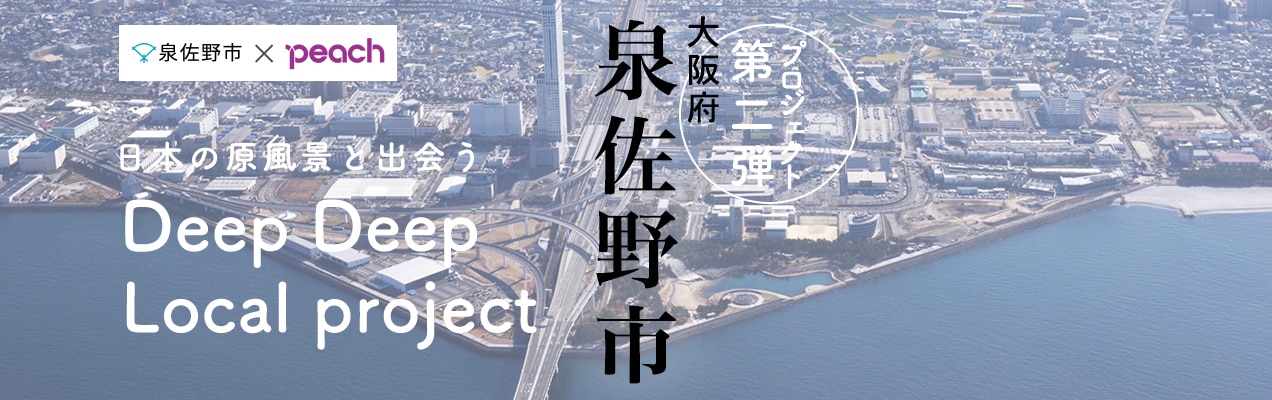 ピーチ航空券 東京から新千歳空港 11月10日 MM565 二人４０代 - 乗車券、交通券