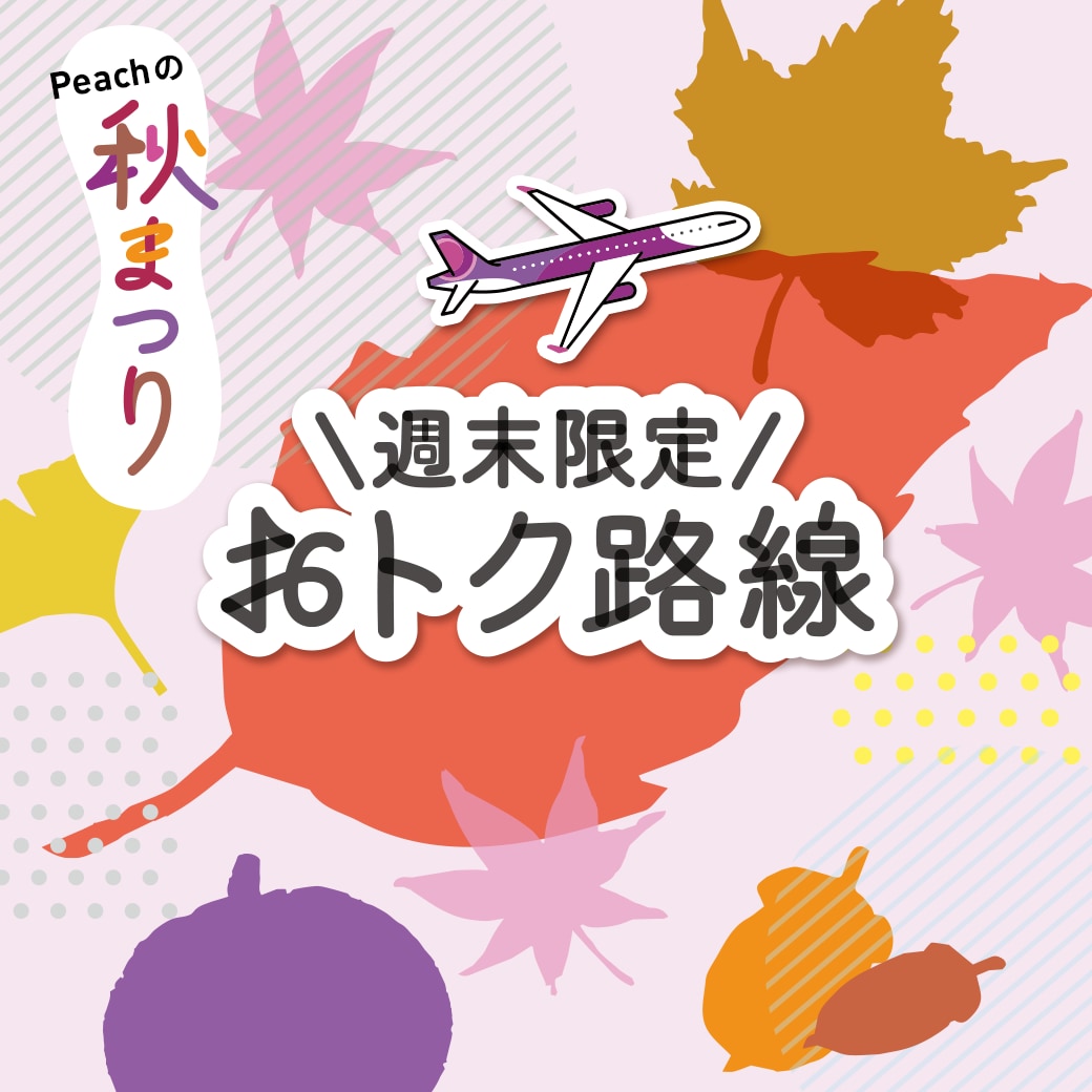 国内線スペシャルセール【2024年11月7日12:00〜11月10日 23:59】