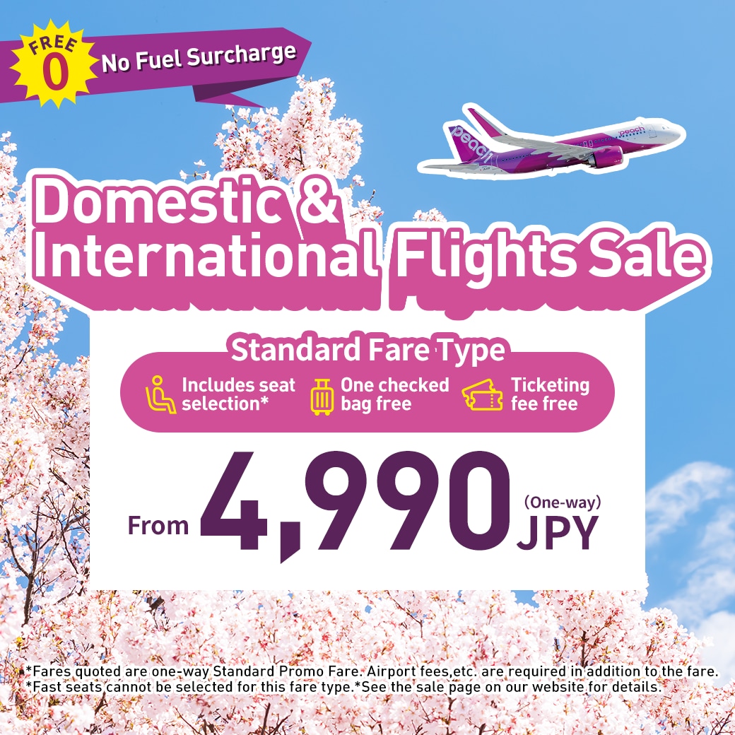 Japan Domestic Standard Fare Trial Sale