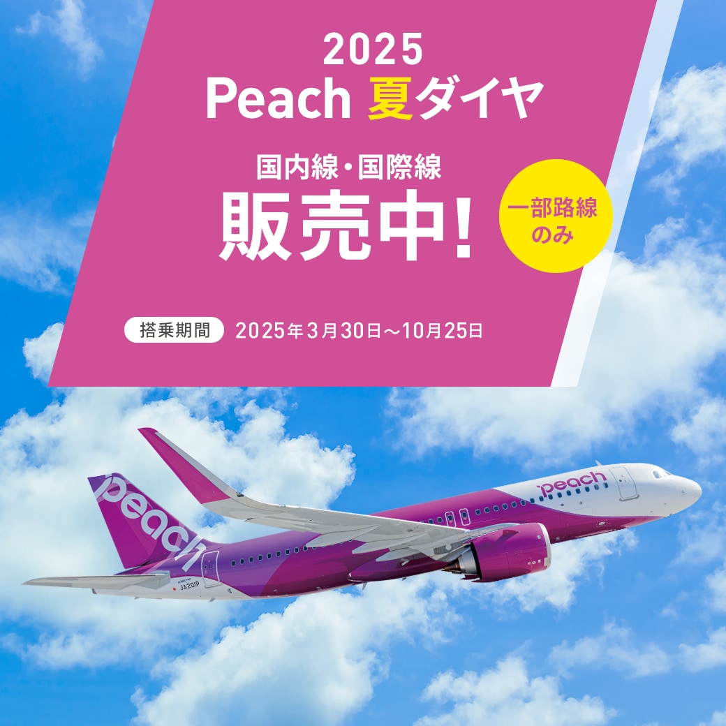 注文 peach航空券 新千歳空港→関西空港