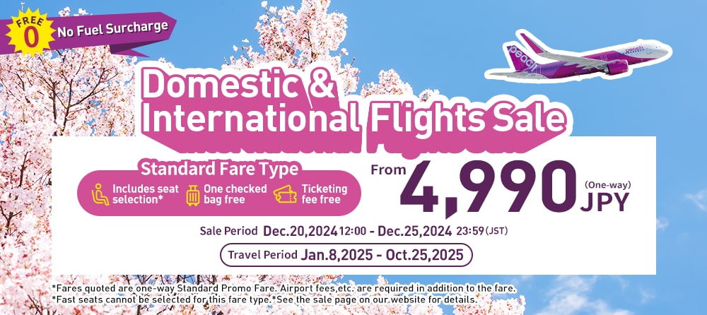 Domestic & International Flights Sale