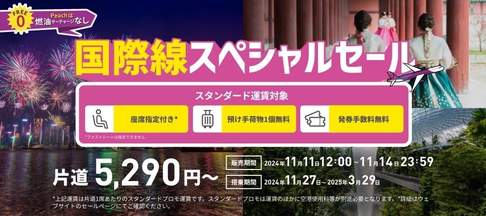 ピーチ航空券 東京から新千歳空港 11月10日 オンライン MM565 二人４０代