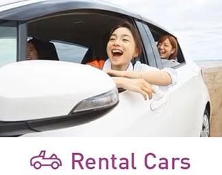 Rental Cars